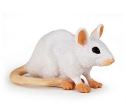 PAPO - SOURIS BLANCHE #50222